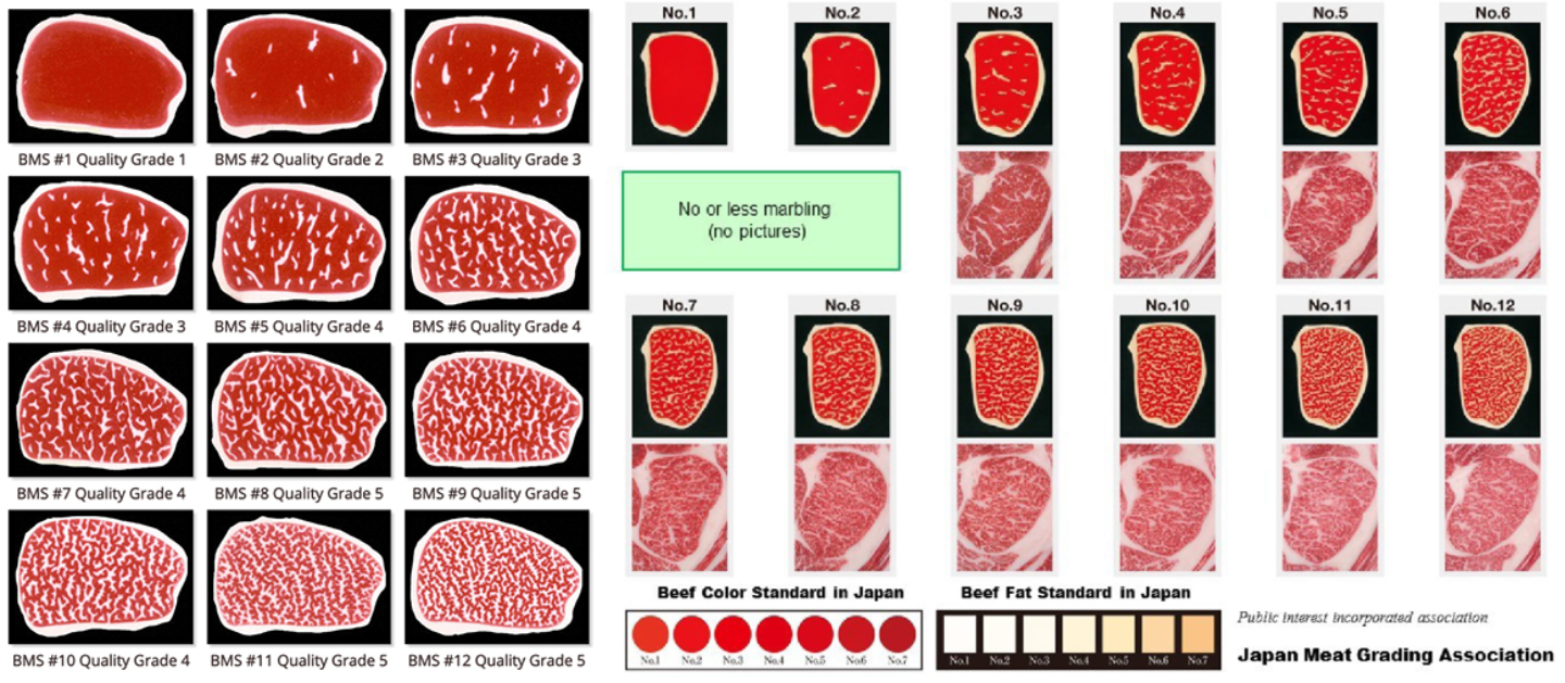 BMS schaal voor Japans wagyu-vlees
